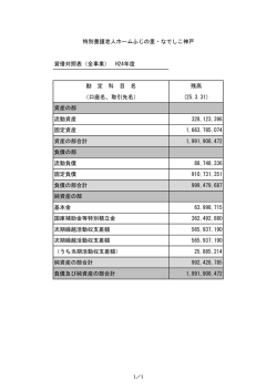 貸借対照表 - 特別養護老人ホームふじの里