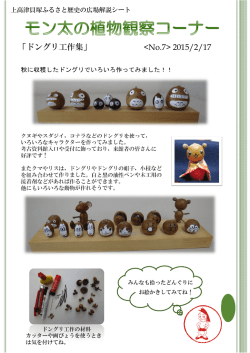 モン太の植物観察コーナー