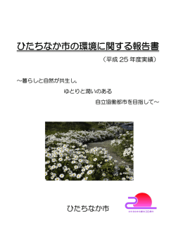 表紙・目次 [PDFファイル／300KB]