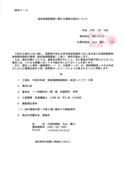 公表様式（PDF：602KB）