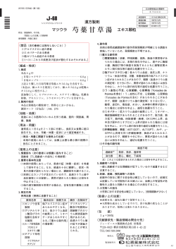 PDFファイル