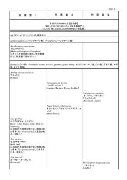 別添3（PDF形式：545KB）