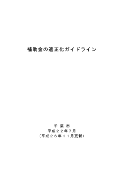 補助金の適正化ガイドライン