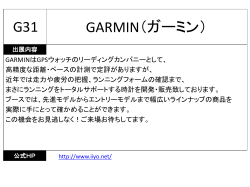 GARMIN（ガーミン） G31