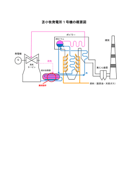 苫小牧発電所1号機の概要図