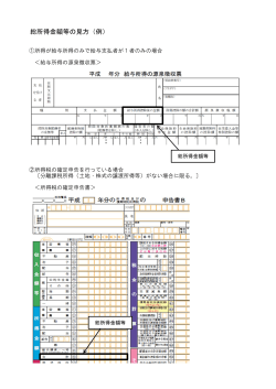 総所得金額等の見方（例）（PDF形式：331kbyte）