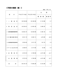 予算の規模（案） （PDFファイル 54.4KB）