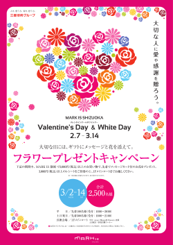 Vaーentine`s Day & White Day 2-7 一 3-ー4