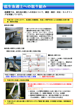 底生魚遡上への取り組み