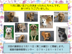 1月に飼い主さんの決まったわんちゃんです。 ありがとうご