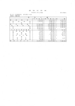 貸借対照表・収支計算書（PDF：834KB）