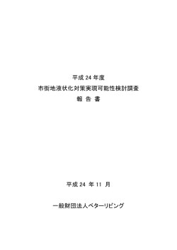 平成 24 年度 市街地液状化対策実現可能性検討調査 報 告 書 平成 24
