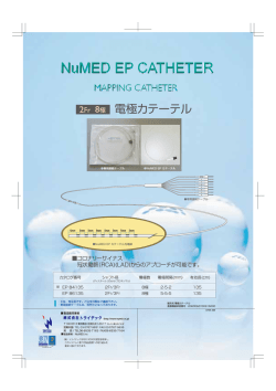 電極 カテーテル1311 [更新済み]