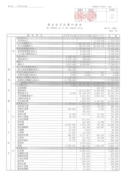 資金収支決算内訳表 （PDF）