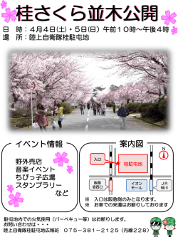 桂さくら並木公開開催のご案内