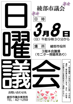 日曜議会ポスター（PDF：138KB）