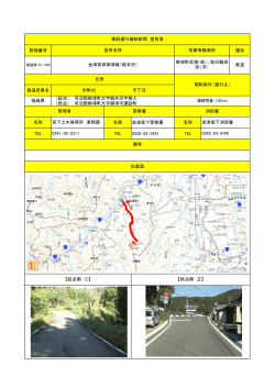 （起点） 河沼郡柳津町大字軽井沢字狢入