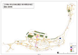 工作物に係る点検位置図（海洋博覧会地区） 園路、駐車場
