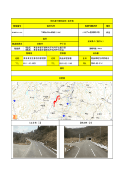 南会津郡下郷町大字大内字土屋口原
