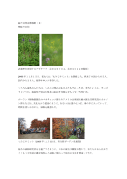 緑の文明首都戦略（1） 戦略の目的 武蔵野を再現するアゼターフ（左