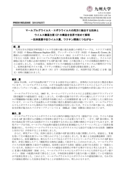 マールブルグウイルス・エボラウイルスの両方に結合する抗体