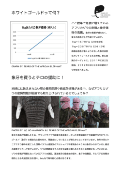 ホワイトゴールドって何？ 象 を買うとテロの援助に！