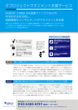 ITプロジェクトマネジメント支援サービス