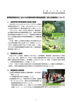 詳細版（PDF：460KB）