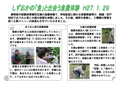 静岡県中部農林事務所主催の食農体験で、学校給食に携わる