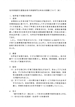（案）（PDF形式：339KB）