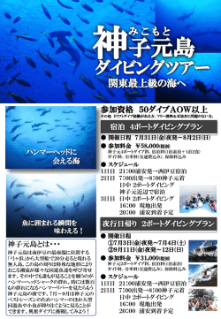 PowerPoint プレゼンテーション