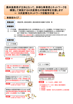 6次産業化ネットワーク活動交付金（PDF：669KB）