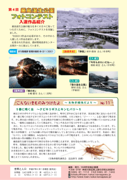 フォトコンテスト フォトコンテスト 厳島湿生公園
