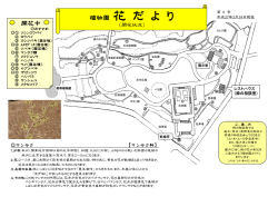 植物園 花 だ よ り