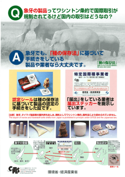 象牙取扱事業者向けリーフレット [PDF 292 KB]