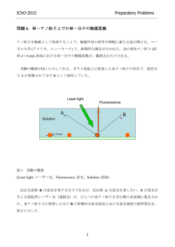 単一ナノ粒子上での単一分子の触媒変換