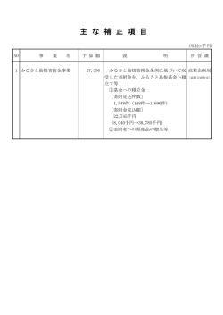 主 な 補 正 項 目
