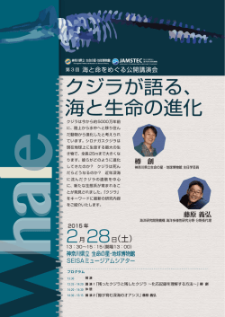 リーフレット（PDF）