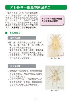 ダウンロード3（PDF：808KB）