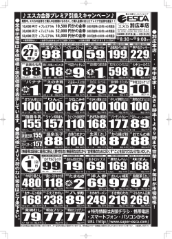 100円 - エスカ