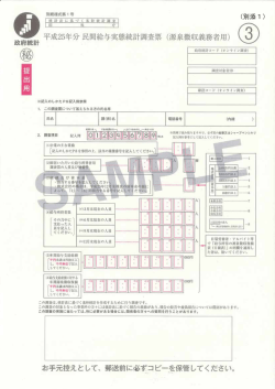 別添1 平成25年分 民間給与実態統計調査票（源泉徴収義務者用）