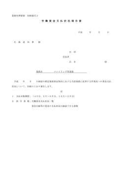 労 働 賃 金 支 払 状 況 報 告 書