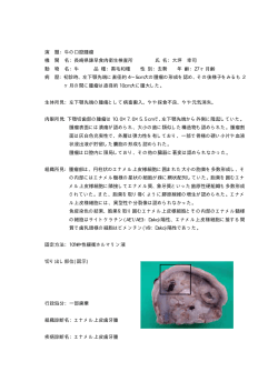 牛の口腔腫瘤H25［PDFファイル／15KB］