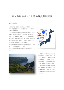 西ノ島町地域おこし協力隊員募集要項