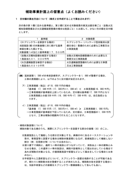 補助事業計画上の留意点 補助事業計画上の留意点