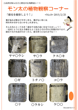モン太の植物観察コーナー