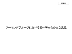 資料5 ワーキンググループにおける団体等からの主な意見（PDF：252KB）