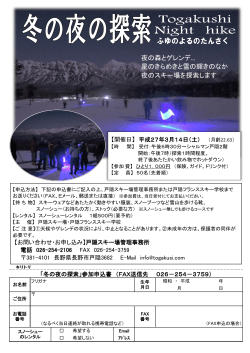 「冬の夜の探索」PDFファイル