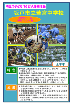 若宮中（PDF：813KB）