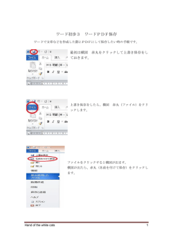 ワード初歩3 ワードPDF保存 - Hand of the white cats